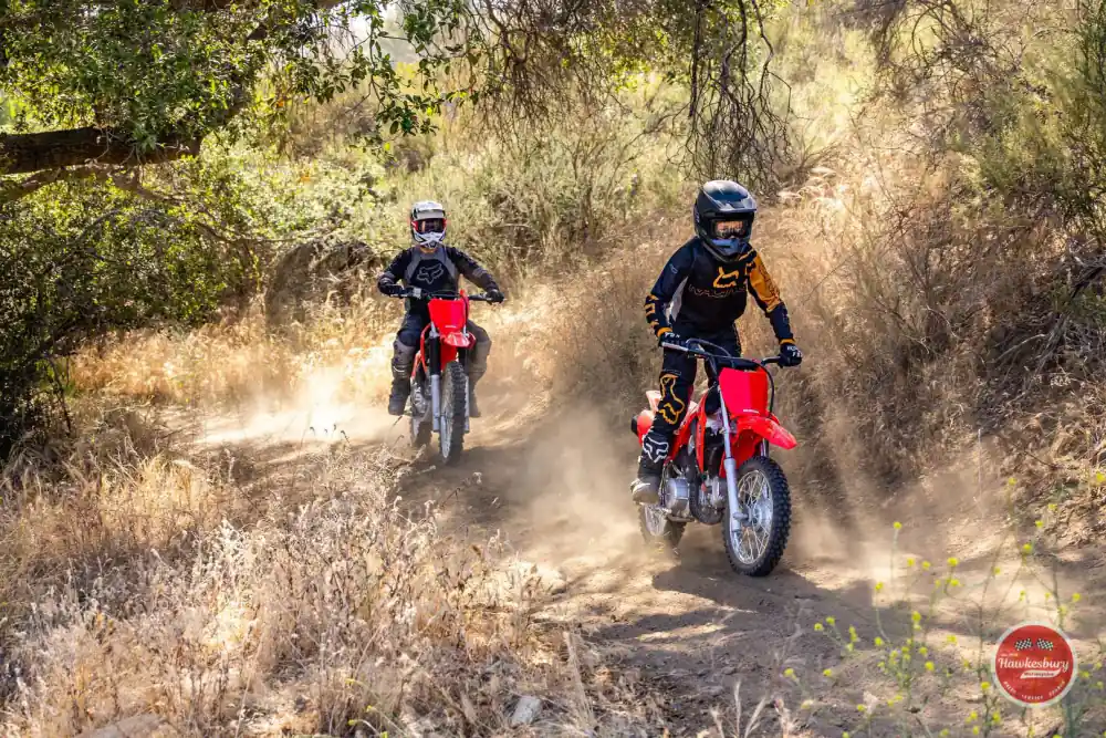 Two riders in helmets and protective gear on red Honda dirt bikes, kicking up dust on a dry wooded trail