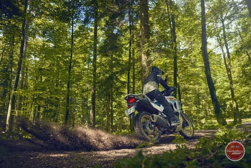 Rider in black gear riding a Honda Transalp through a green forest on a dirt trail, kicking up dirt behind the bike