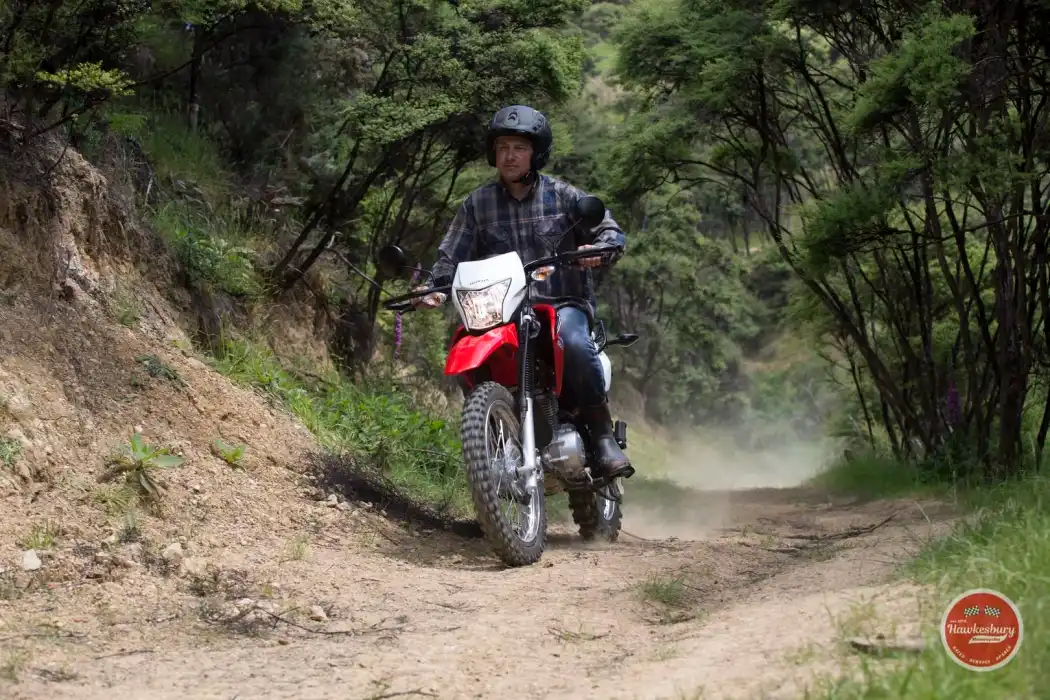 A rider in a helmet and checked shirt riding a red Honda XR150L up a dusty bush track between steep green banks. Overseas model shown.