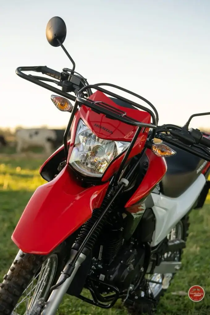 Close-up of the front of a red Honda XR190CT showing its headlight, mirror and tubular front carry rack, with cattle in the paddock behind